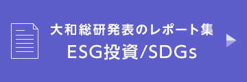 大和総研発表のレポート集　ESG投資/SDGs