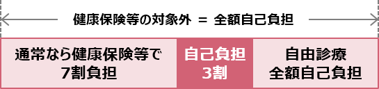 自由診療の自己負担