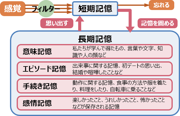 記憶のしくみと特徴