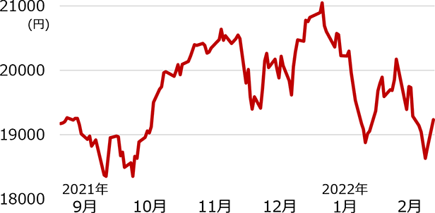 ある外国株式インデックスファンドの価格推移