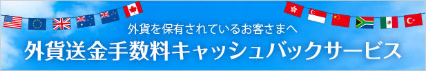 外貨送金手数料キャッシュバックサービス