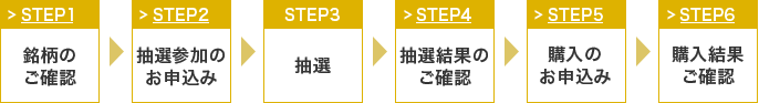 STEP1:銘柄のご確認 STEP2:抽選参加のお申込み STEP3:抽選 STEP4:抽選結果のご確認 STEP5:購入のお申込み STEP6:購入結果のご確認