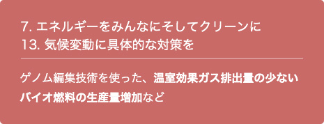 7. エネルギーをみんなにそしてクリーンに 13. 気候変動に具体的な対策を ゲノム編集技術を使った、温室効果ガス排出量の少ないバイオ燃料の生産量増加など