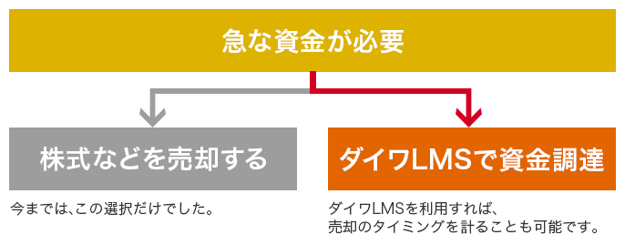 急な資金が必要 株式などを売却する 今までは、この選択だけでした。 ダイワLMSで資金調達 ダイワLMSを利用すれば、売却のタイミングを計ることも可能です。