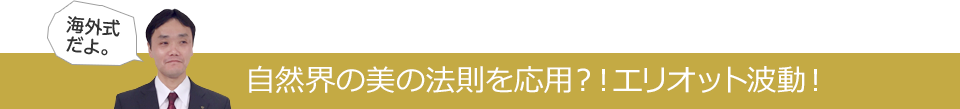 自然界の美の法則を応用？！エリオット波動！